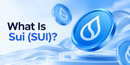 What Is Sui (SUI) and How It Works