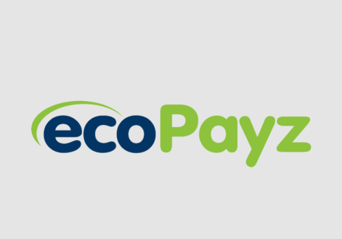 Secure Online Payments & International Money Transfers   ecoPayz