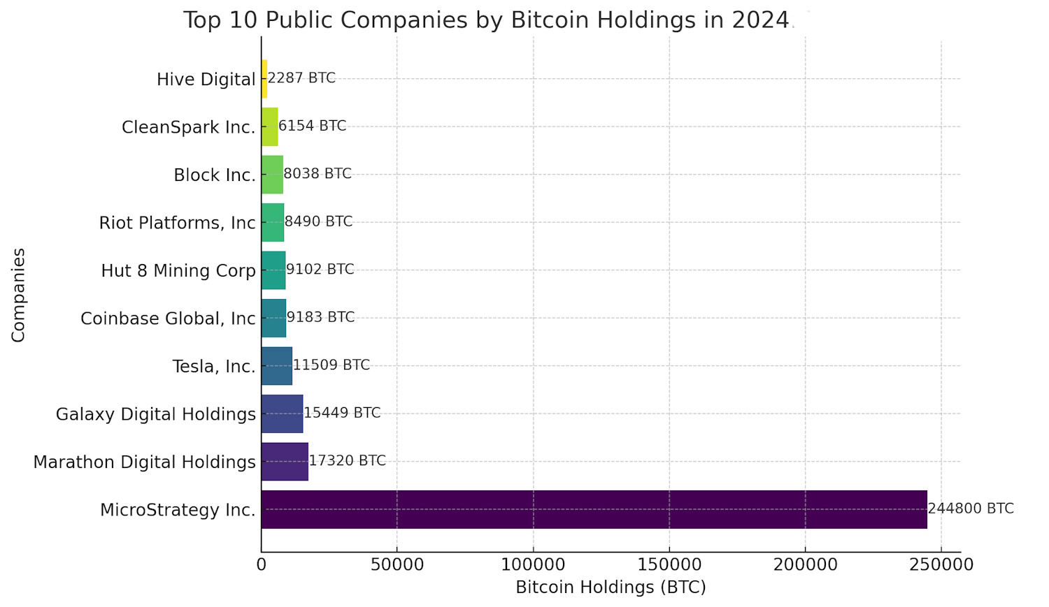 Top 10 Public Companies by Bitcoin Holdings in 2024